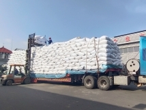 把握機(jī)遇、鉚足干勁、承勢(shì)而上