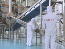 2025年的第一個(gè)月，承德亞歐果仁有限公司在山杏產(chǎn)業(yè)的道路上持續(xù)奮進(jìn)，展現(xiàn)出蓬勃的發(fā)展活力。